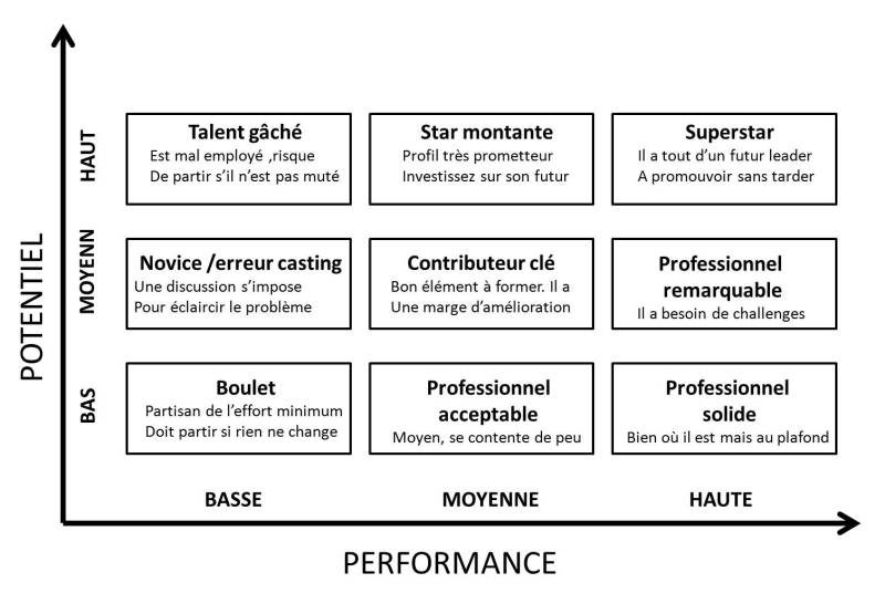 Cabinet conseil RH spécialisé en séminaires d'entreprises pour cohésion d'équipe à Lyon: Des jeux pour le potentiel et la performance par C3PO Talents à Roanne