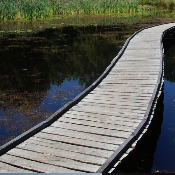 Coach de vie à Vichy et Roanne 42