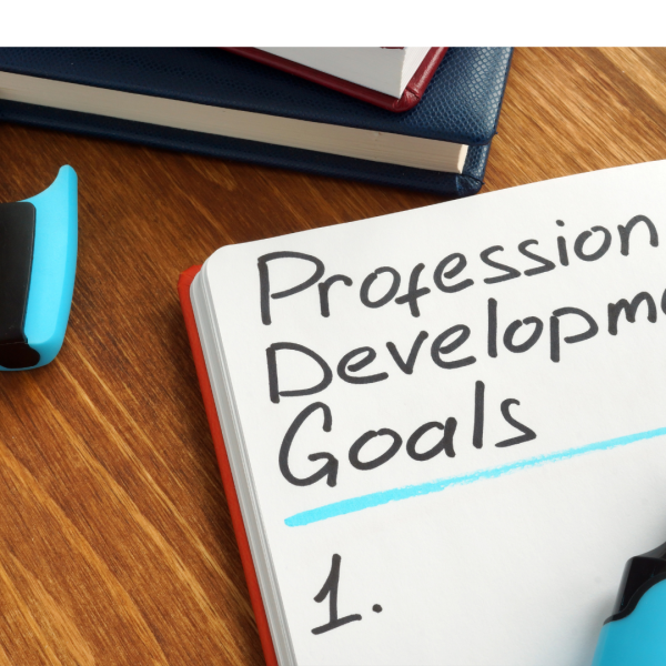 Coaching en transition, Bilan de Compétences dirigeants à Roanne